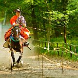 Kyoto 20100503_7D2534 CPR.jpg