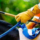 Kyoto 20100503_7D2573 CPR.jpg