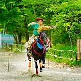 Kyoto 20100503_7D2712 CPR.jpg