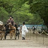 Yabusame Ogasawara Ryû 20150503_005 CPR.jpg