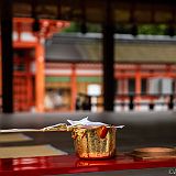 Yabusame_OgasawaraRyû 20180503_025 CPR.jpg