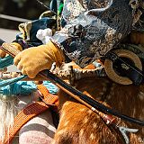 Yabusame_OgasawaraRyû 20180421_053 CPR.jpg