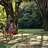 Yabusame Takeda_20121103_046 CPR.jpg