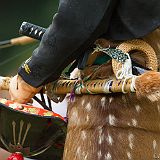 Yabusame Takeda_20131103_032 CPR.jpg