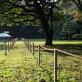 Yabusame Takeda_20161103_001 CPR.jpg